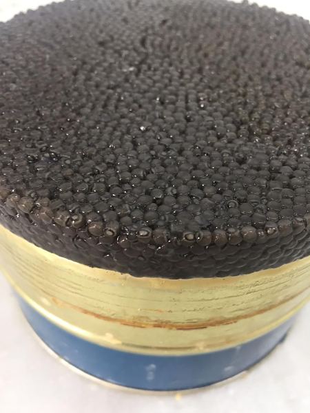 Tuura caviar 