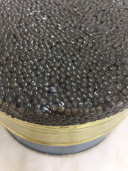 V�rske tuura kaviaar 500g 